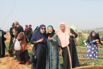 بالصور: رحلة ترفهية لأهالي من مدينة يافا إلى قلنسوة وطولكرم لقطف ثمار الفراولة 